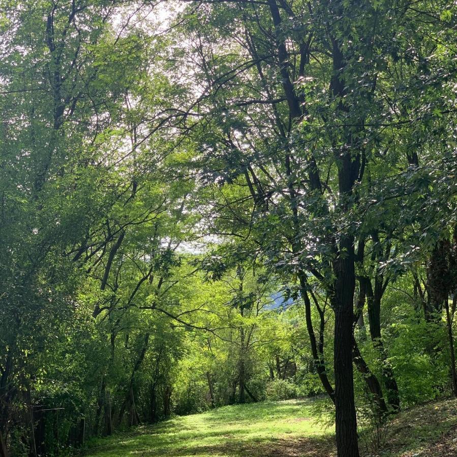 Vár-Camping Hotel Sirok Kültér fotó